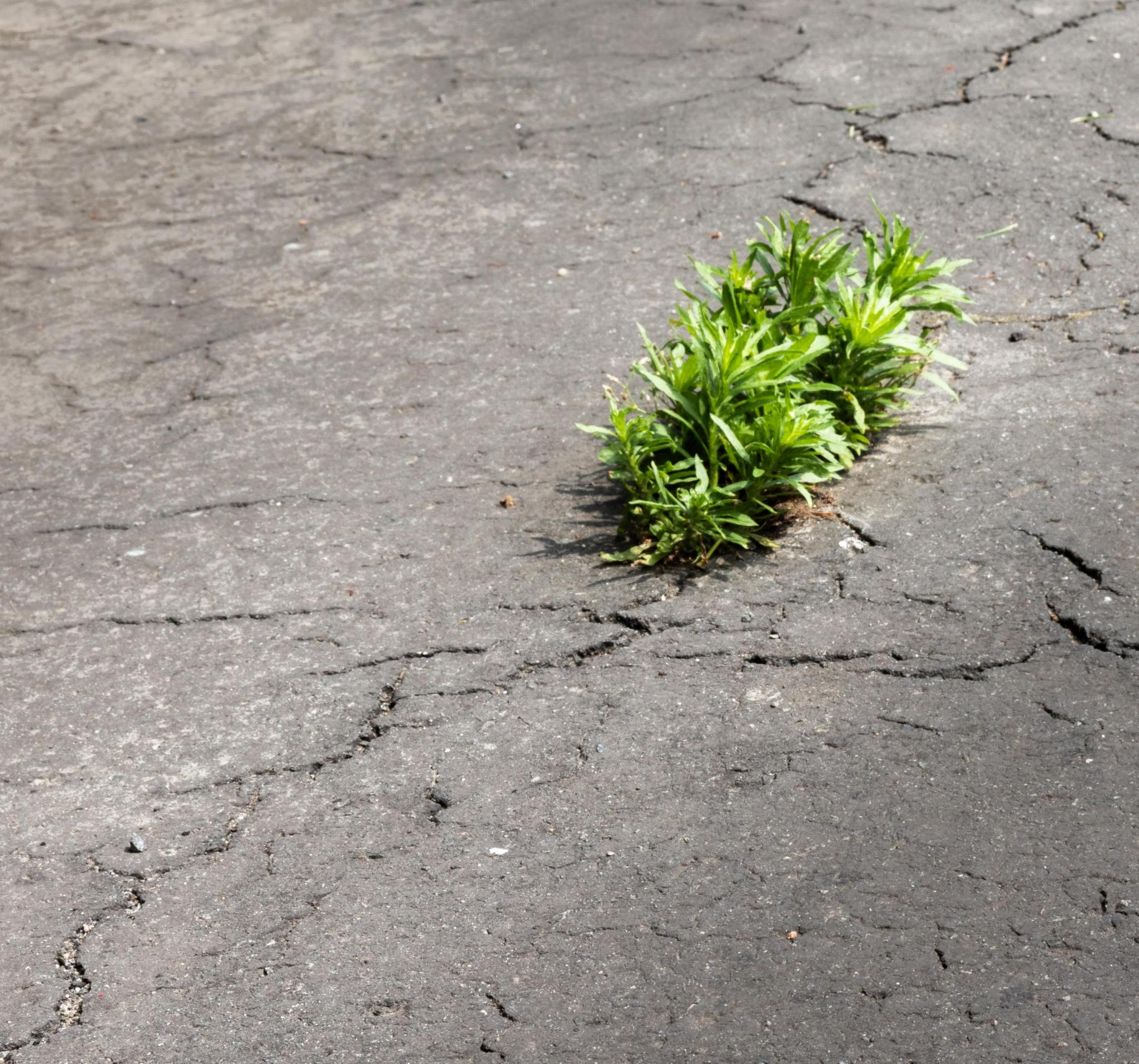Struktur folgt Mensch – Schulverwaltung transformieren